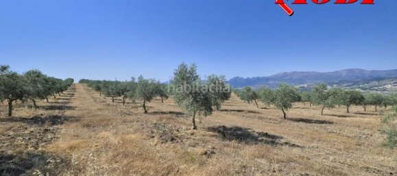 Terreno en Granada, Spain 84202 m² No. 163751 31