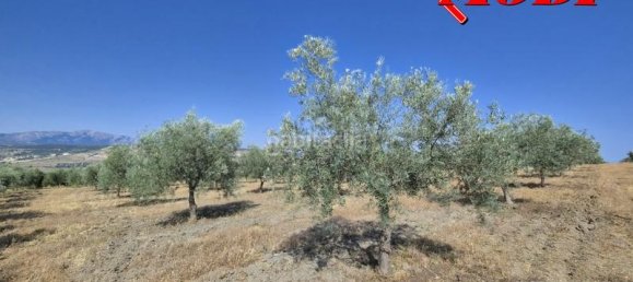 Terreno en Granada, Spain 84202 m² No. 163751 39