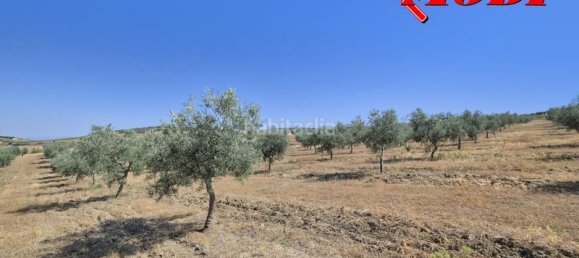 Terreno en Granada, Spain 84202 m² No. 163751 28