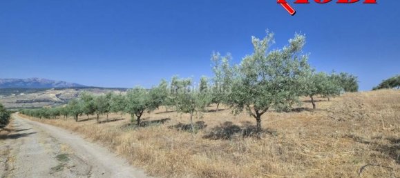 Terreno en Granada, Spain 84202 m² No. 163751 47