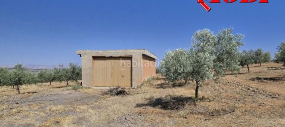 Terreno en Granada, Spain 84202 m² No. 163751 18