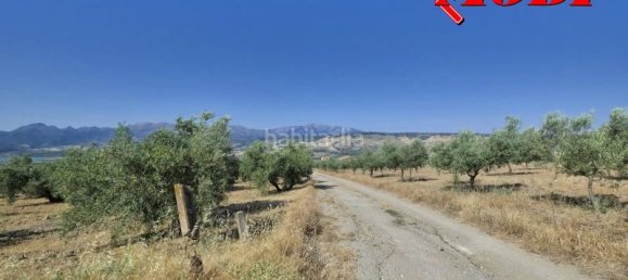 Terreno en Granada, Spain 84202 m² No. 163751 14