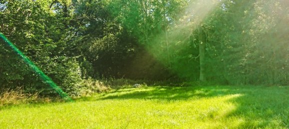  Land in Bautzen, Germany No. 202832 2