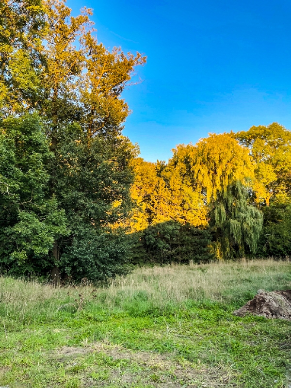  Land in Bautzen, Germany No. 202832