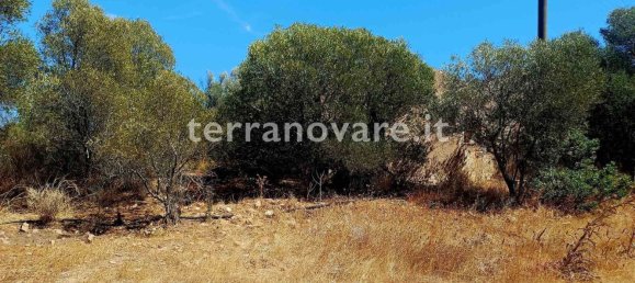 Casa T2 em Olbia, Italy N.º 362574 7