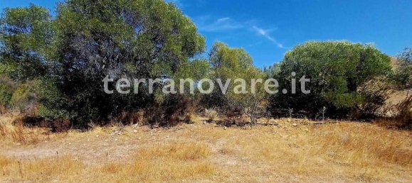 Casa T2 em Olbia, Italy N.º 362574 8