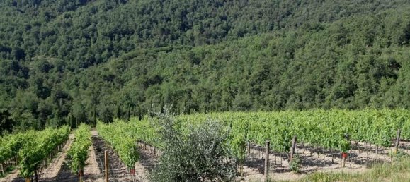 10 bedrooms Castles in Radda in Chianti, Italy No. 56412 17