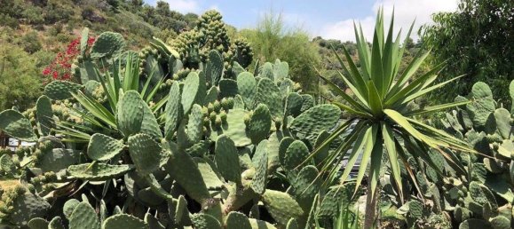 4-salle Villa à Camerota, Italy No. 7391 48