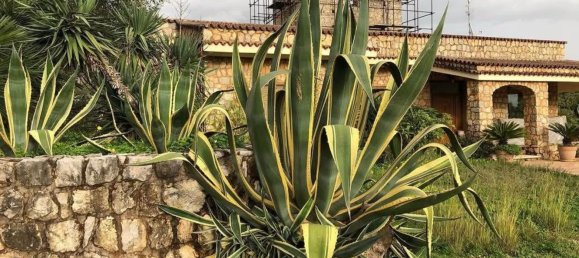 4-salle Villa à Camerota, Italy No. 7391 20