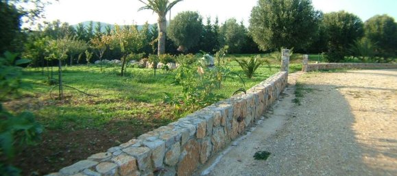 4-salle Villa à Camerota, Italy No. 7391 9