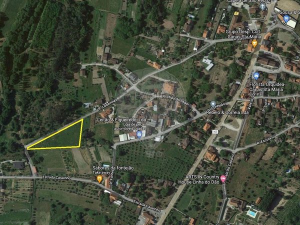 Grundstück in Canas de Santa Maria, Portugal 4230m², Nr. 91738