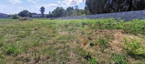 Grundstück in Canas de Santa Maria, Portugal 4230m², Nr. 91738 4