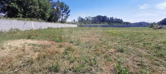 Grundstück in Canas de Santa Maria, Portugal 4230m², Nr. 91738 3