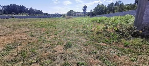 Grundstück in Canas de Santa Maria, Portugal 4230m², Nr. 91738 2