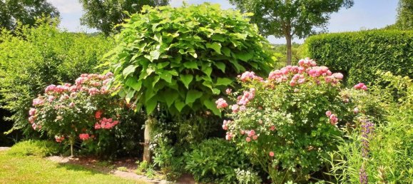 4 غرف نوم تاون هاوس في Saarpfalz, Germany رقم 307413 17