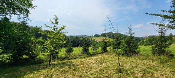  Land in Furstenfeld, Austria No. 134290 3