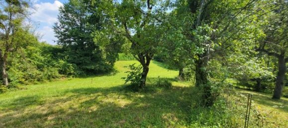  Land in Furstenfeld, Austria No. 134290 6