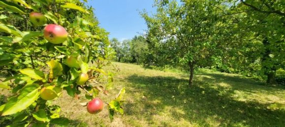  Land in Furstenfeld, Austria No. 134290 2