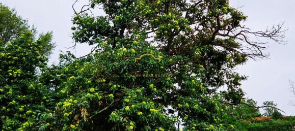 3غرفة فيلا في Agerola, Italy رقم 108342 27