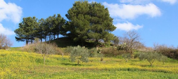 4-Zimmer Haus in Piana degli Albanesi, Italy, Nr. 15575 28