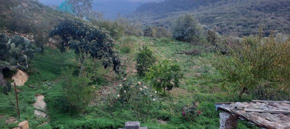 4-Zimmer Haus in Piana degli Albanesi, Italy, Nr. 15575 34