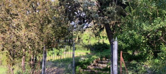 4-Zimmer Haus in Piana degli Albanesi, Italy, Nr. 15575 31