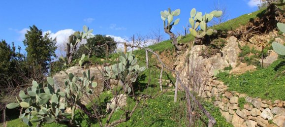 4-Zimmer Haus in Piana degli Albanesi, Italy, Nr. 15575 35