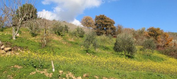 4-Zimmer Haus in Piana degli Albanesi, Italy, Nr. 15575 29
