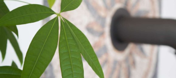 Moradia em banda T5 em Main-Taunus, Germany N.º 145531 17