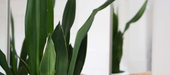 Moradia em banda T5 em Main-Taunus, Germany N.º 145531 6