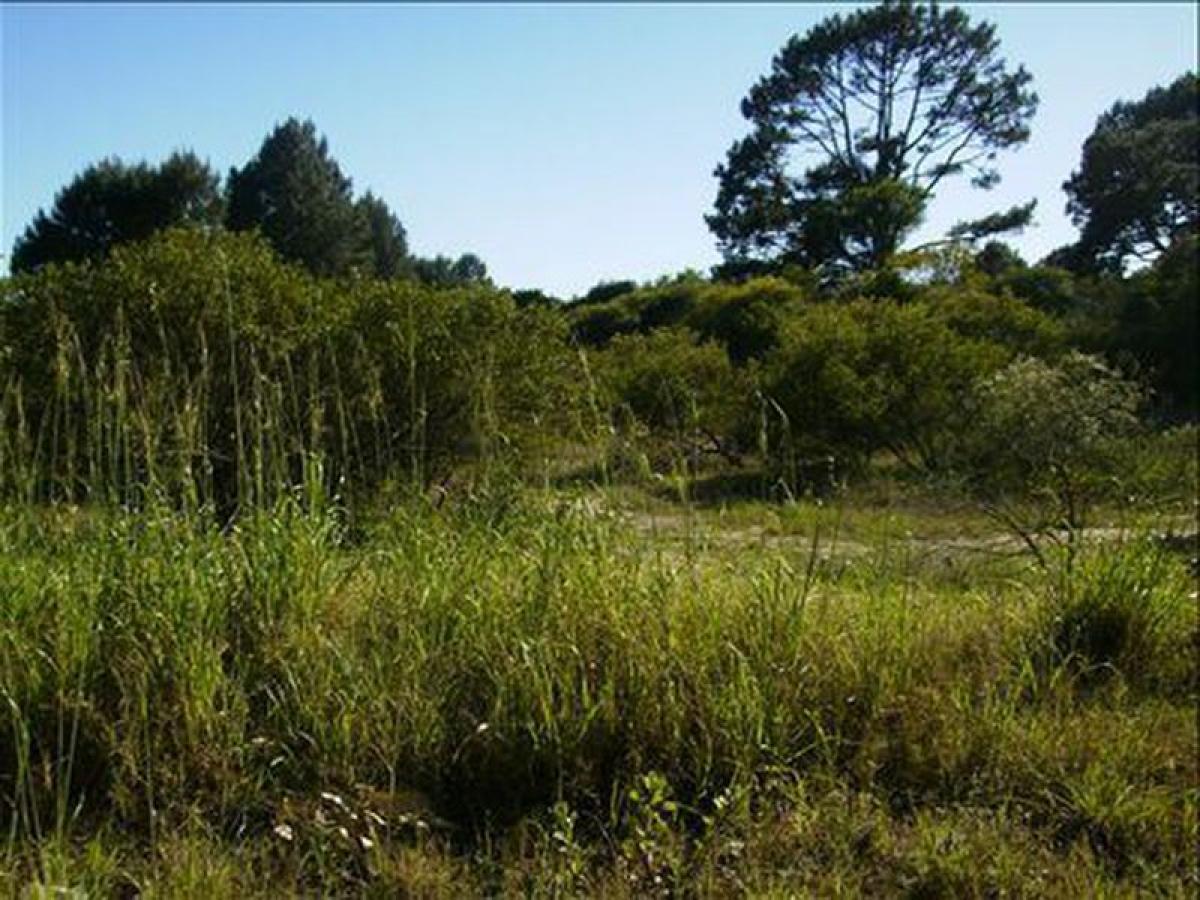 Земельный участок в Мальдонадо, Уругвай № 15339