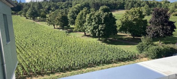 1 غرف نوم شقة في Chenove, France رقم 340239 7