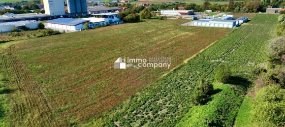 Land in Mannersdorf am Leithagebirge, Austria No. 134300 2