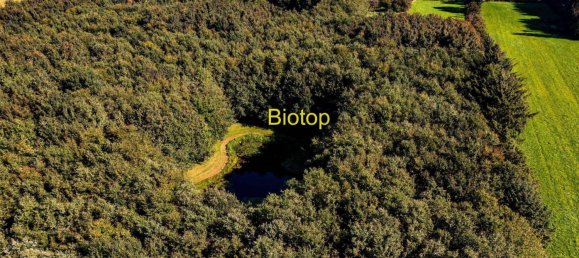 4 rooms House in Nordfriesland, Germany No. 76567 26