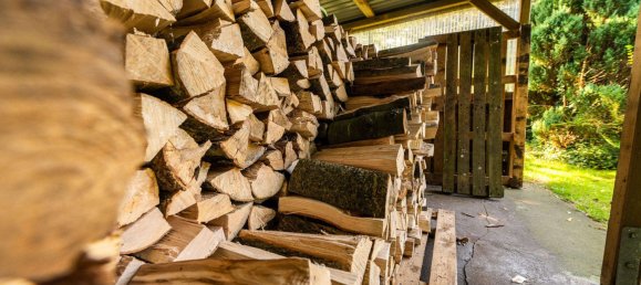 4 rooms House in Nordfriesland, Germany No. 76567 45