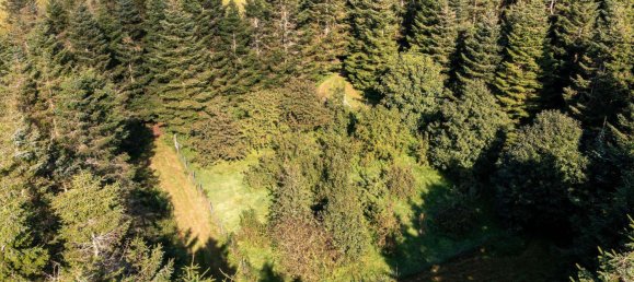 4 rooms House in Nordfriesland, Germany No. 76567 10