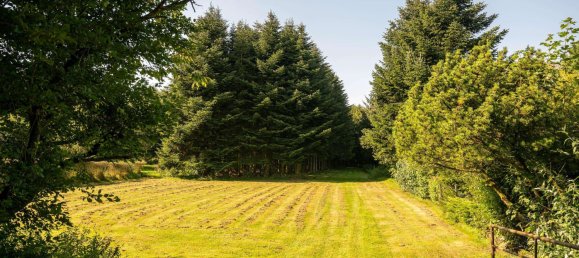 4 rooms House in Nordfriesland, Germany No. 76567 48