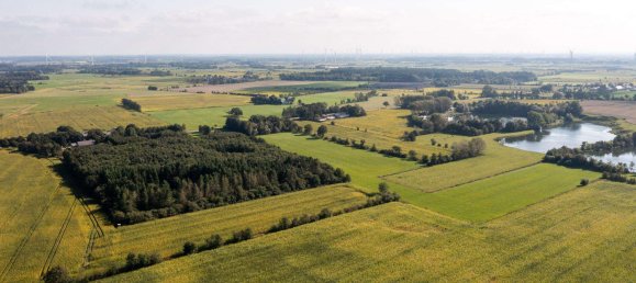 4 rooms House in Nordfriesland, Germany No. 76567 8