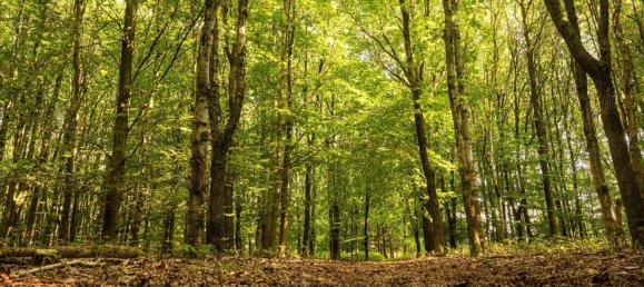 4 rooms House in Nordfriesland, Germany No. 76567 2