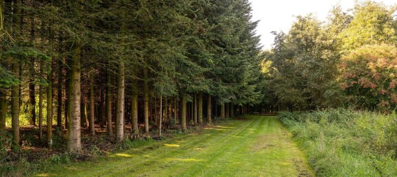 4 rooms House in Nordfriesland, Germany No. 76567 49