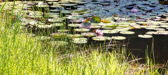 4 rooms House in Nordfriesland, Germany No. 76567 36