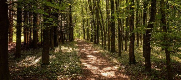 4 rooms House in Nordfriesland, Germany No. 76567 50