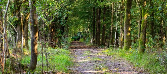 4 rooms House in Nordfriesland, Germany No. 76567 12