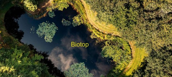 4 rooms House in Nordfriesland, Germany No. 76567 27