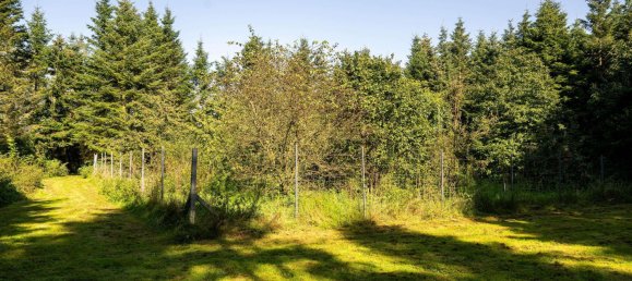 4 rooms House in Nordfriesland, Germany No. 76567 4