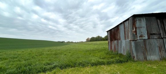 2 bedrooms Farm in Zwickau, Germany No. 241949 18