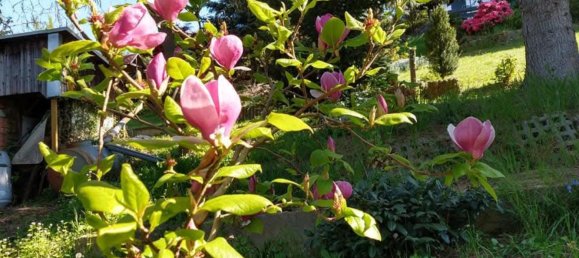 1 Schlafzimmer Haus in Greiz, Germany, Nr. 218515 17