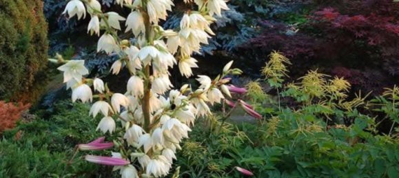 1 Schlafzimmer Haus in Greiz, Germany, Nr. 218515 18