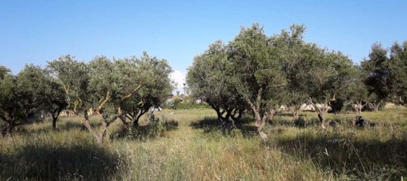 terreno en venta en Zakynthos, Ionian Islands, Peloponnese, Western Greece and the Ionian, Greece № 832 17