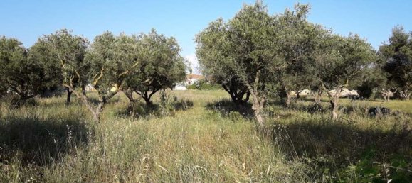 terreno en venta en Zakynthos, Ionian Islands, Peloponnese, Western Greece and the Ionian, Greece № 832 19